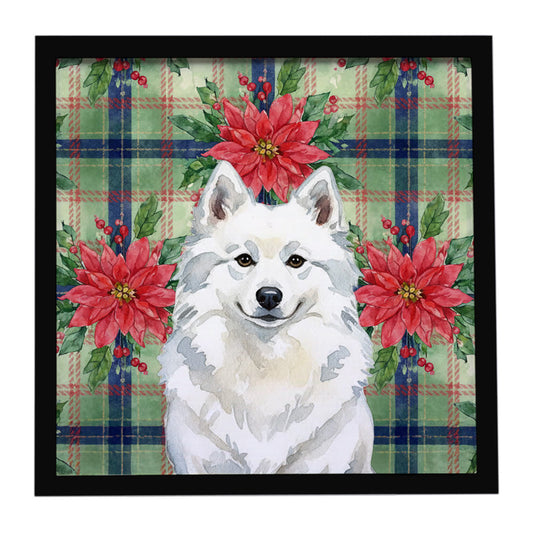 Buy this American Eskimo Christmas PoinsettIas Framed Metal Print