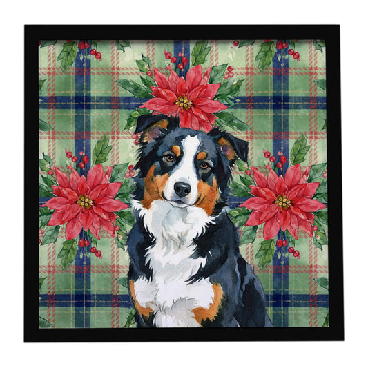 Buy this Black Tri American Shepherd Christmas PoinsettIas Framed Metal Print