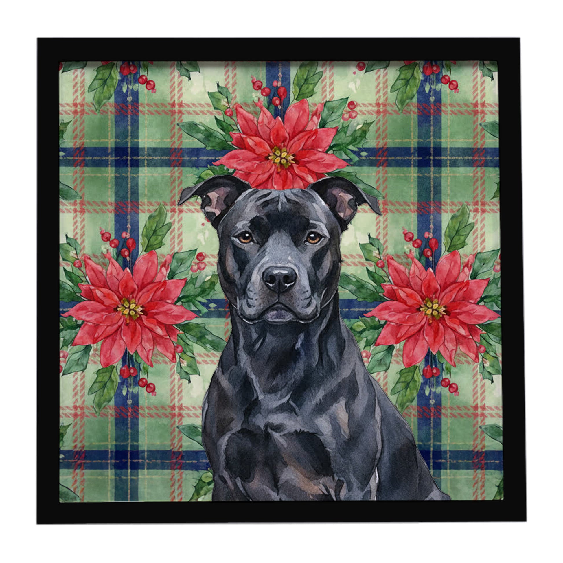 Buy this Black American Staffordshire Terrier Christmas PoinsettIas Framed Metal Print