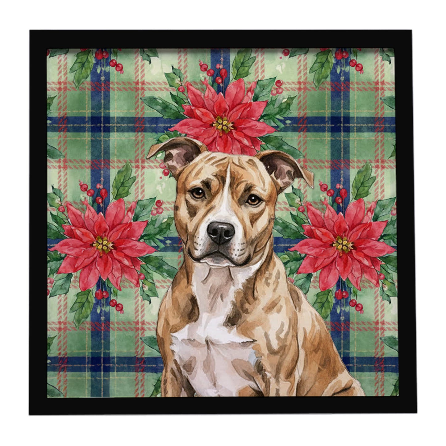Buy this Brindle American Staffordshire Terrier Christmas PoinsettIas Framed Metal Print