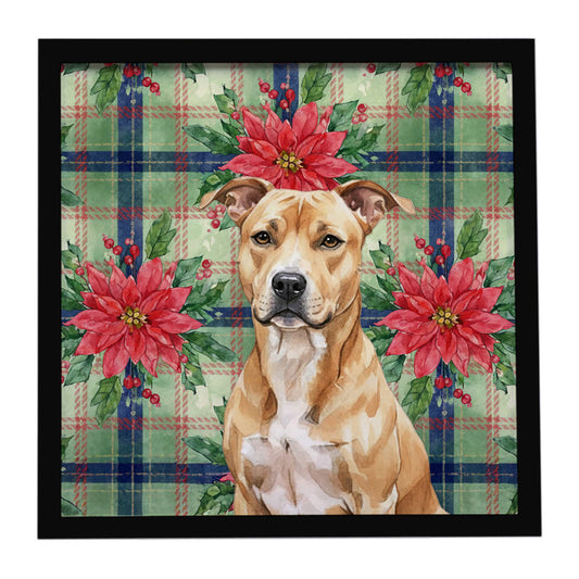 Buy this Fawn American Staffordshire Terrier Christmas PoinsettIas Framed Metal Print