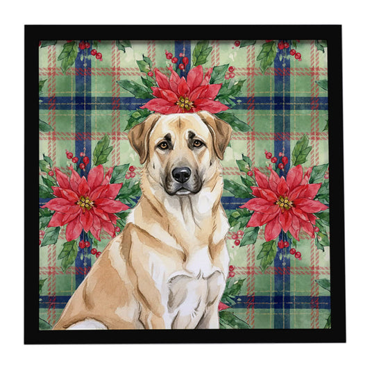 Buy this Anatolian Shepherd Dog Christmas PoinsettIas Framed Metal Print