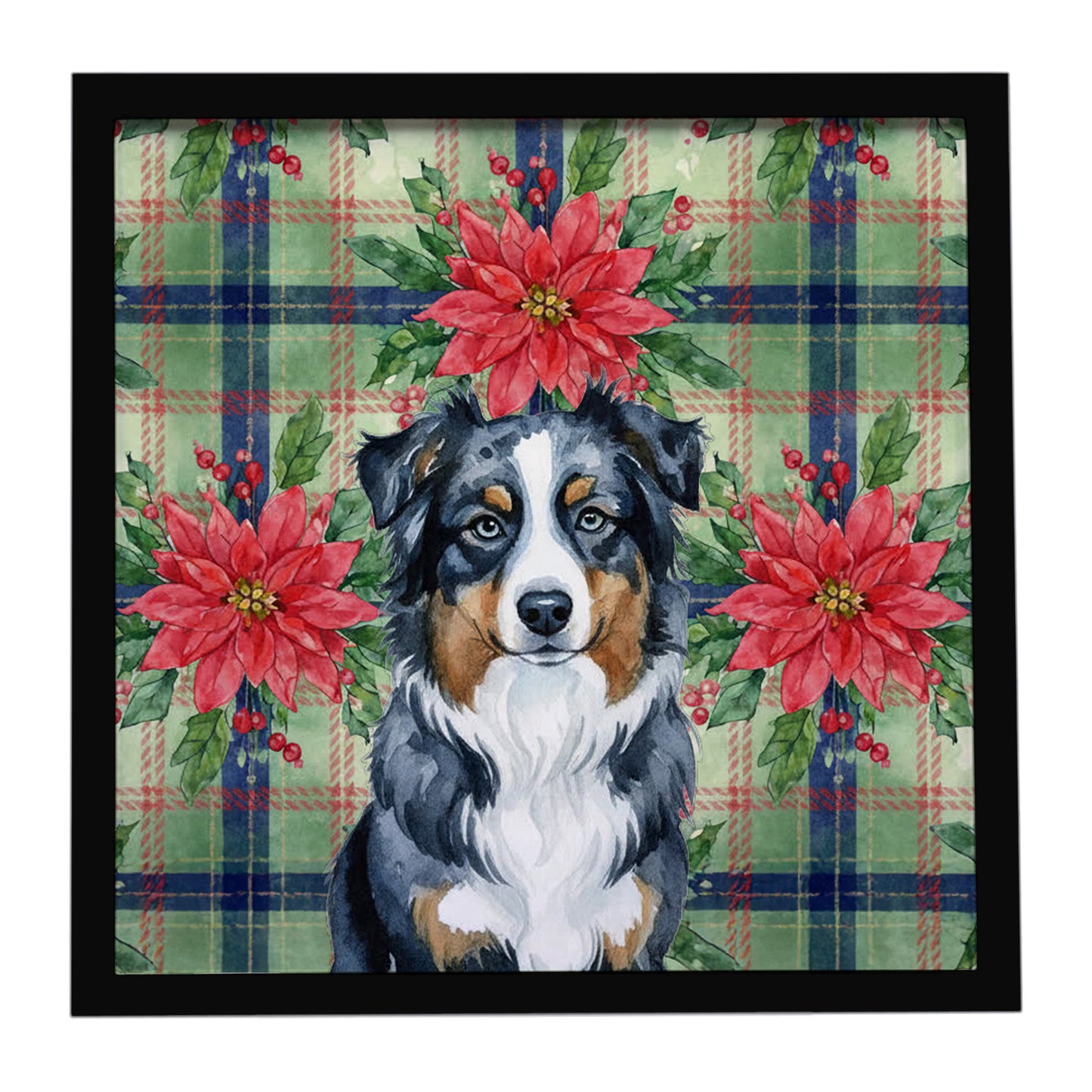 Buy this Black Australian Shepherd Christmas PoinsettIas Framed Metal Print
