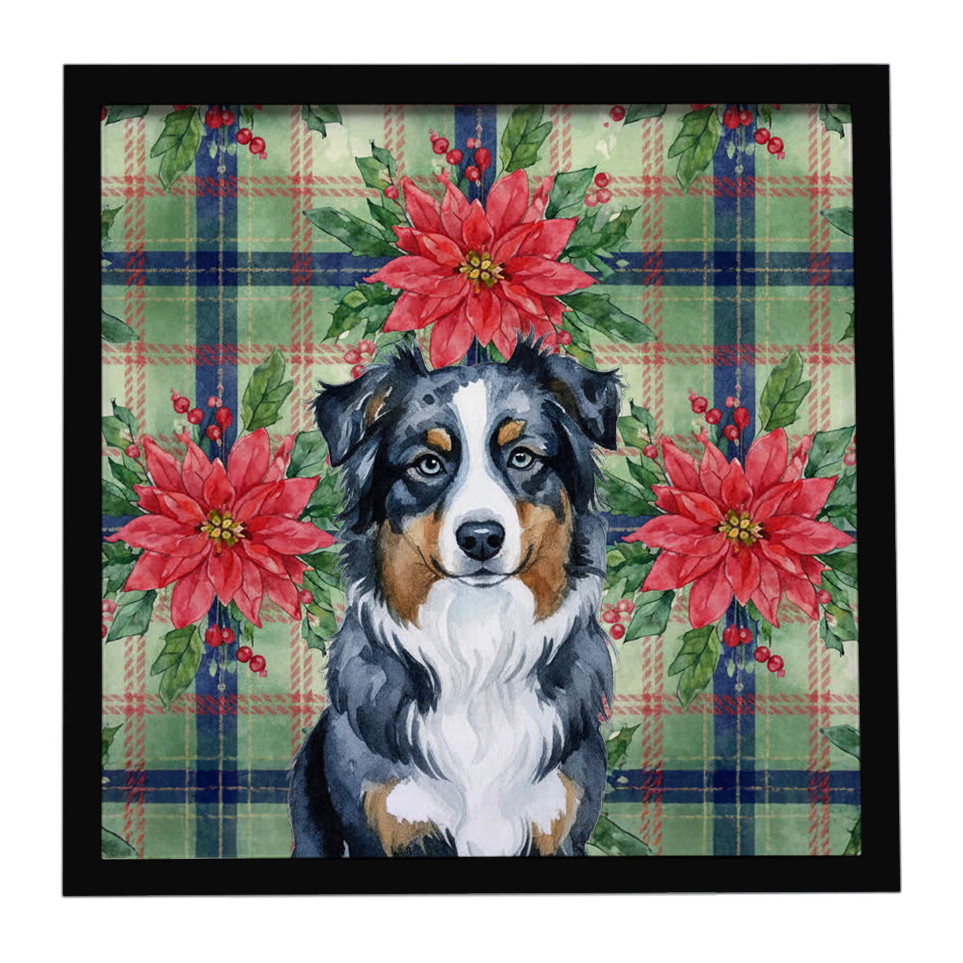 Buy this Black Australian Shepherd Christmas PoinsettIas Framed Metal Print