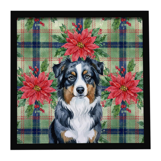Buy this Black Australian Shepherd Christmas PoinsettIas Framed Metal Print