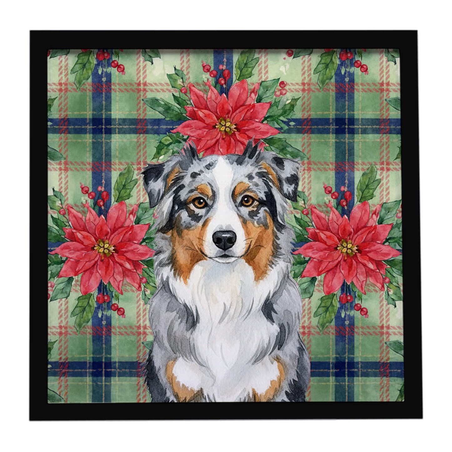 Buy this Blue Merle Australian Shepherd Christmas PoinsettIas Framed Metal Print