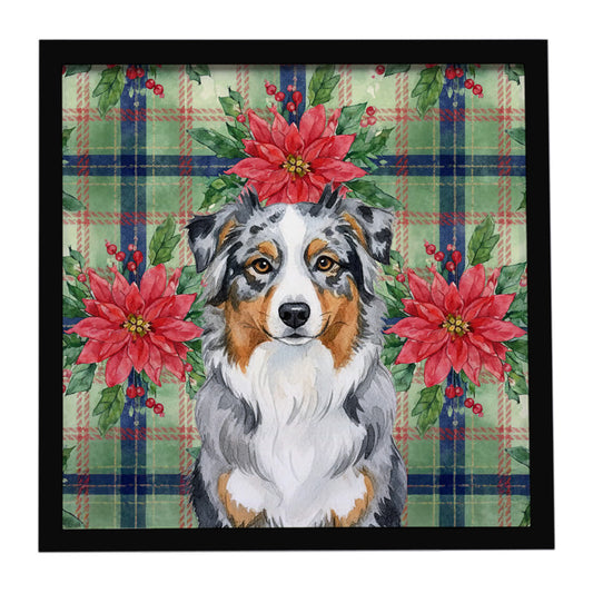 Buy this Blue Merle Australian Shepherd Christmas PoinsettIas Framed Metal Print
