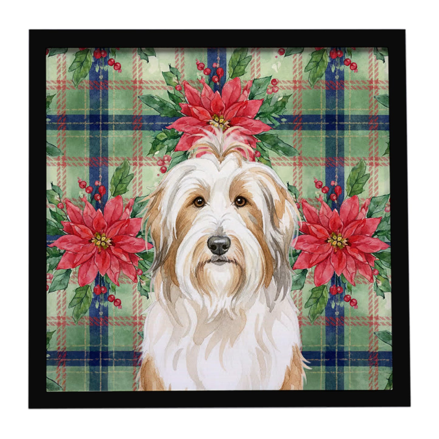 Buy this White and Tan Bearded Collie Christmas PoinsettIas Framed Metal Print