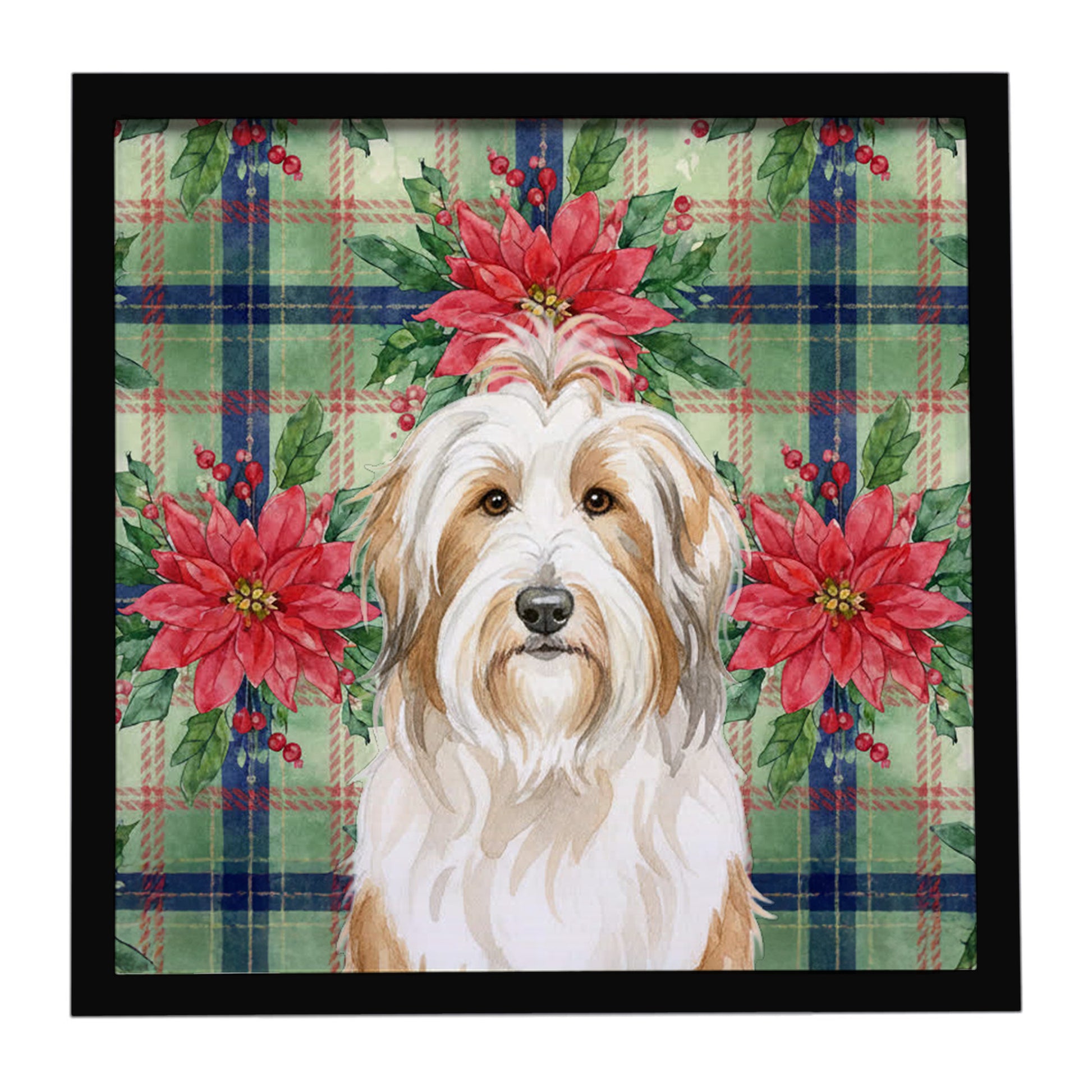 Buy this White and Tan Bearded Collie Christmas PoinsettIas Framed Metal Print