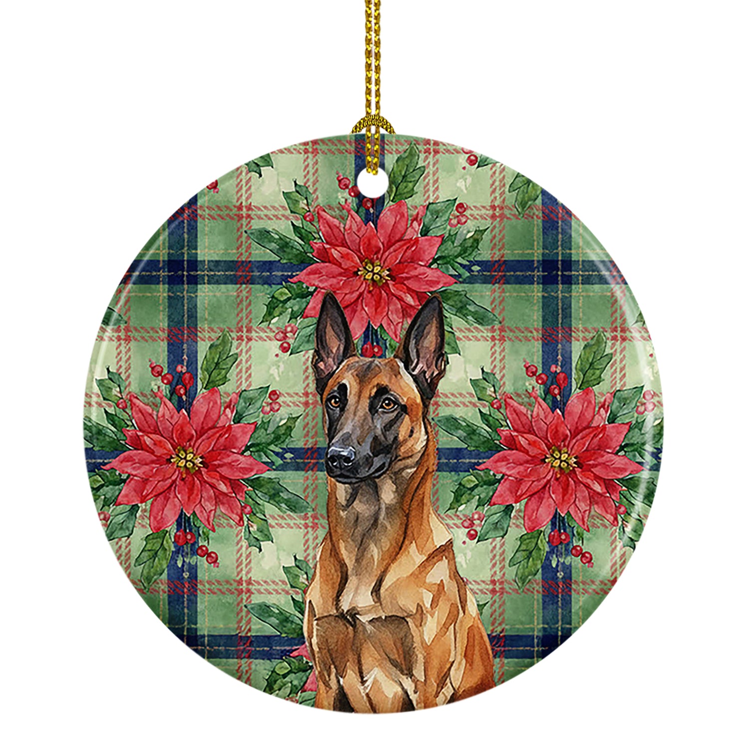 Buy this Mahogany Belgian Malinois Christmas PoinsettIas Ceramic Ornament