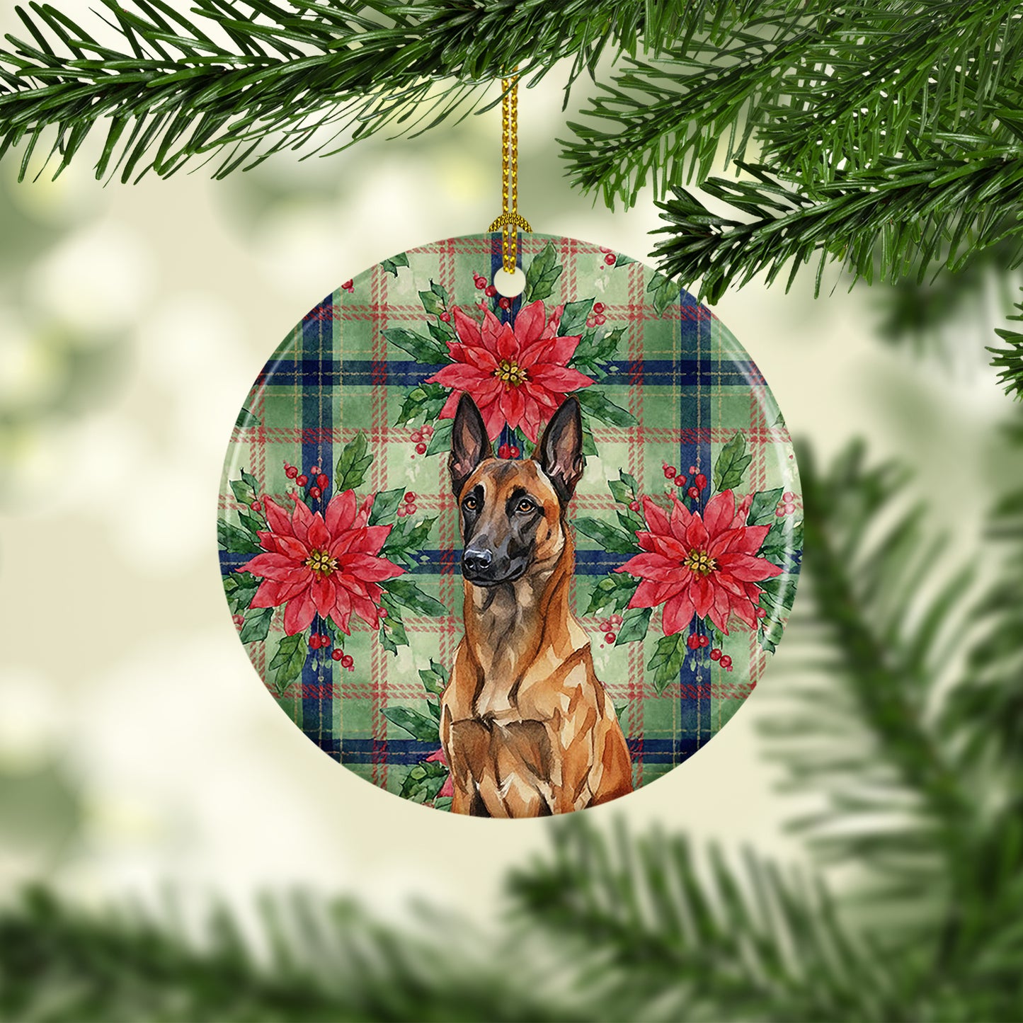 Mahogany Belgian Malinois Christmas PoinsettIas Ceramic Ornament