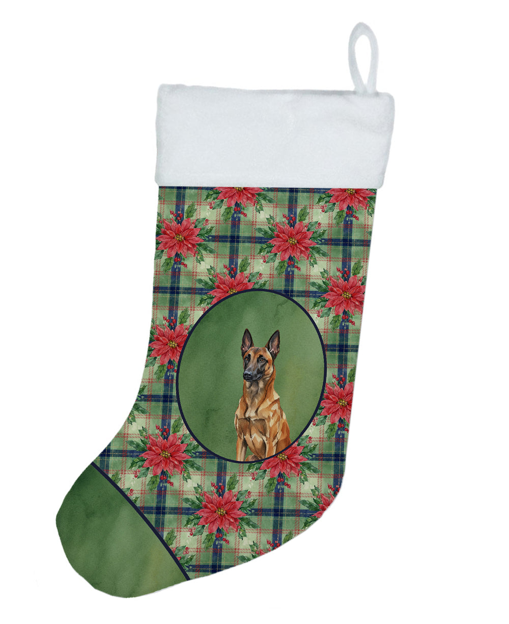 Buy this Mahogany Belgian Malinois Christmas PoinsettIas Holiday Stocking