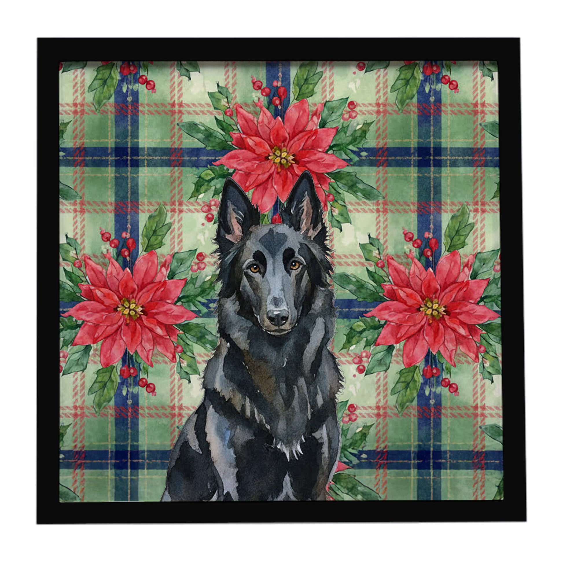 Buy this Belgian Sheepdog Groenendael Christmas PoinsettIas Framed Metal Print