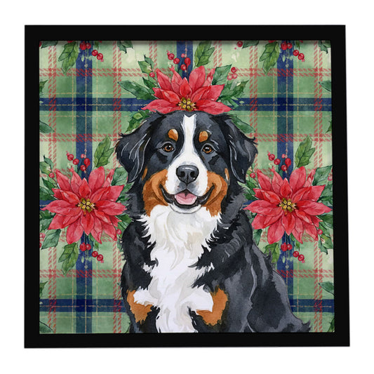 Buy this Bernese Mountain Dog Christmas PoinsettIas Framed Metal Print