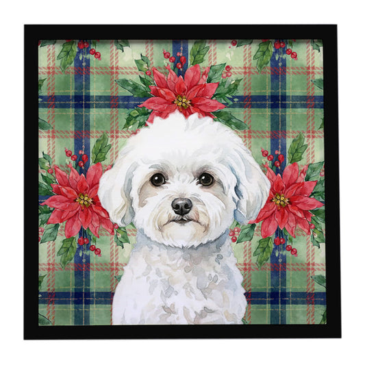 Buy this Bichon Frise Christmas PoinsettIas Framed Metal Print