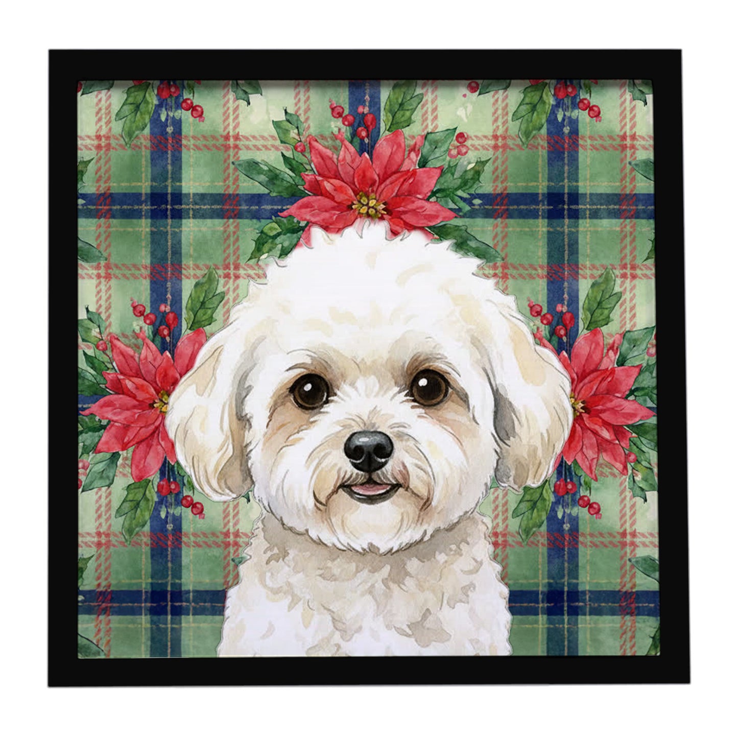 Buy this White and Cream Bichon Frise Christmas PoinsettIas Framed Metal Print