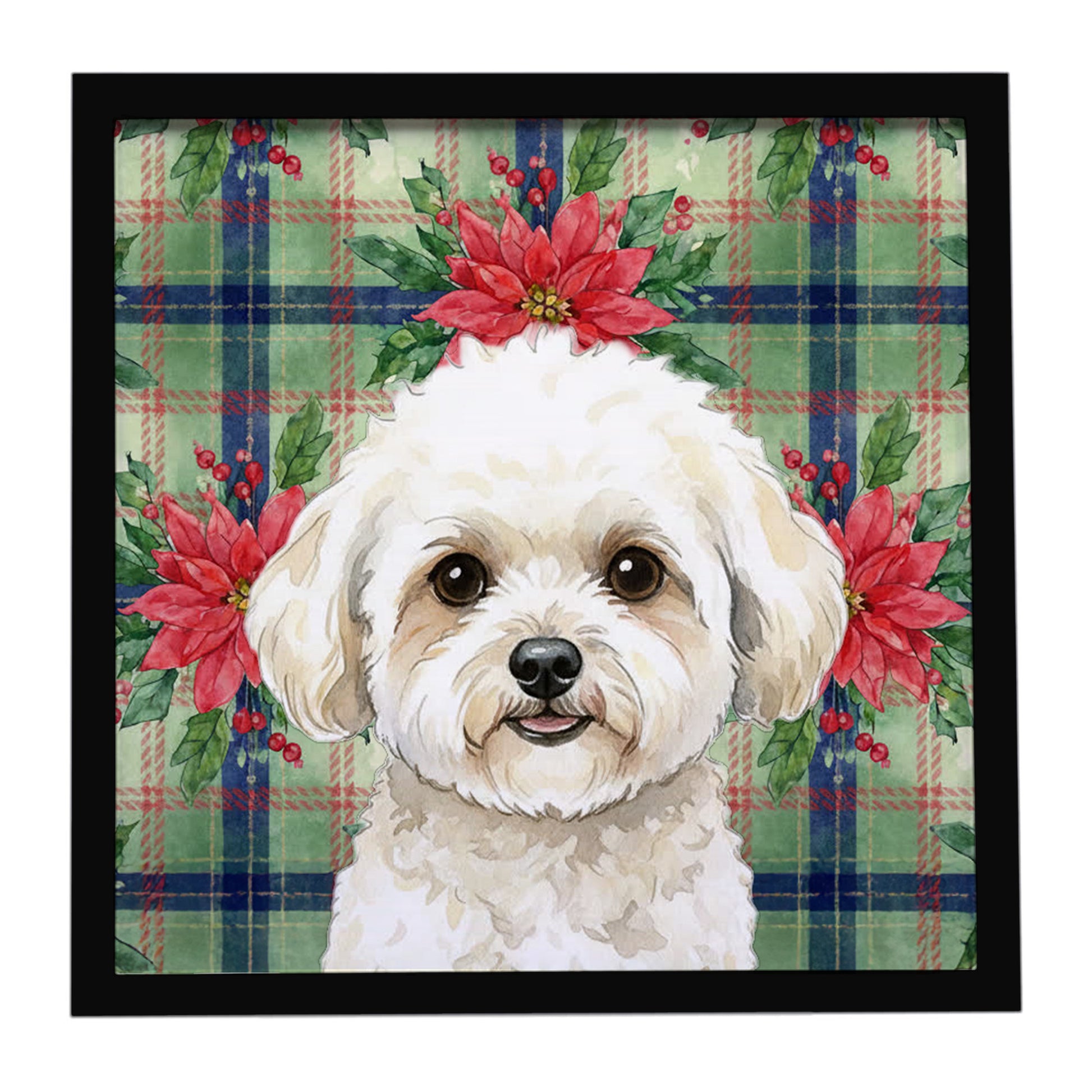 Buy this White and Cream Bichon Frise Christmas PoinsettIas Framed Metal Print