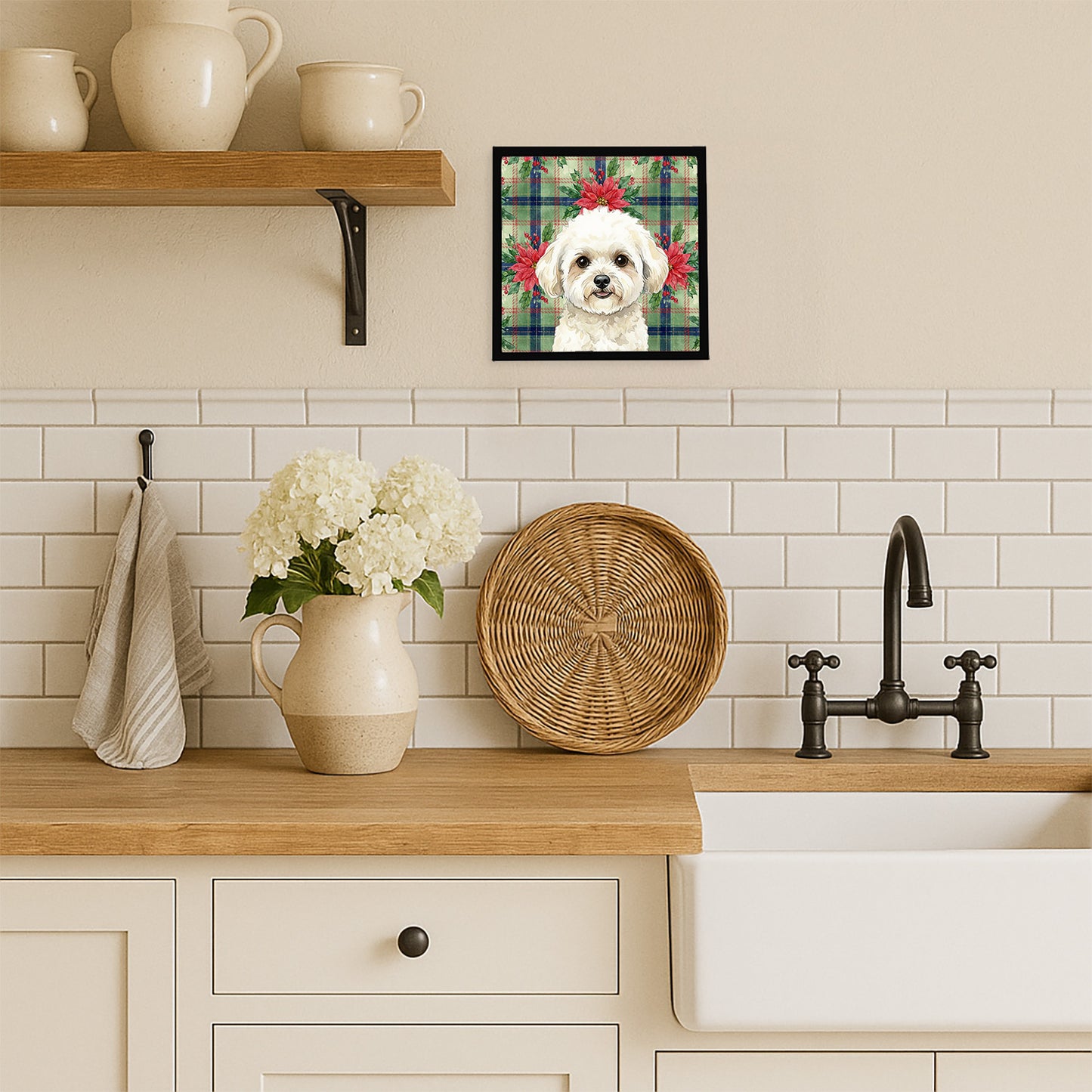 White and Cream Bichon Frise Christmas PoinsettIas Framed Metal Print