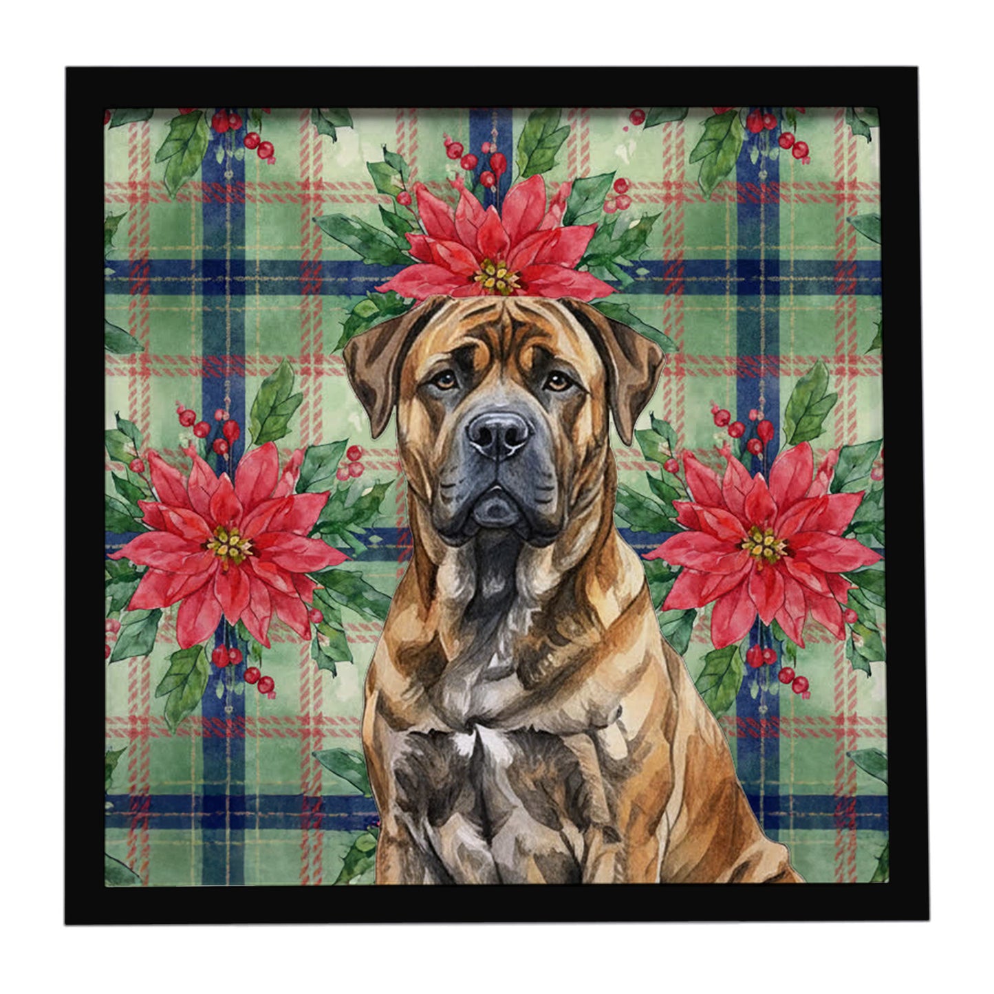 Buy this Brindle Boerboel Christmas PoinsettIas Framed Metal Print
