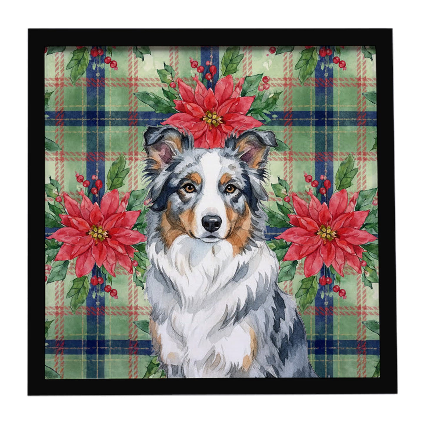Buy this Blue Merle Border Collie Christmas PoinsettIas Framed Metal Print