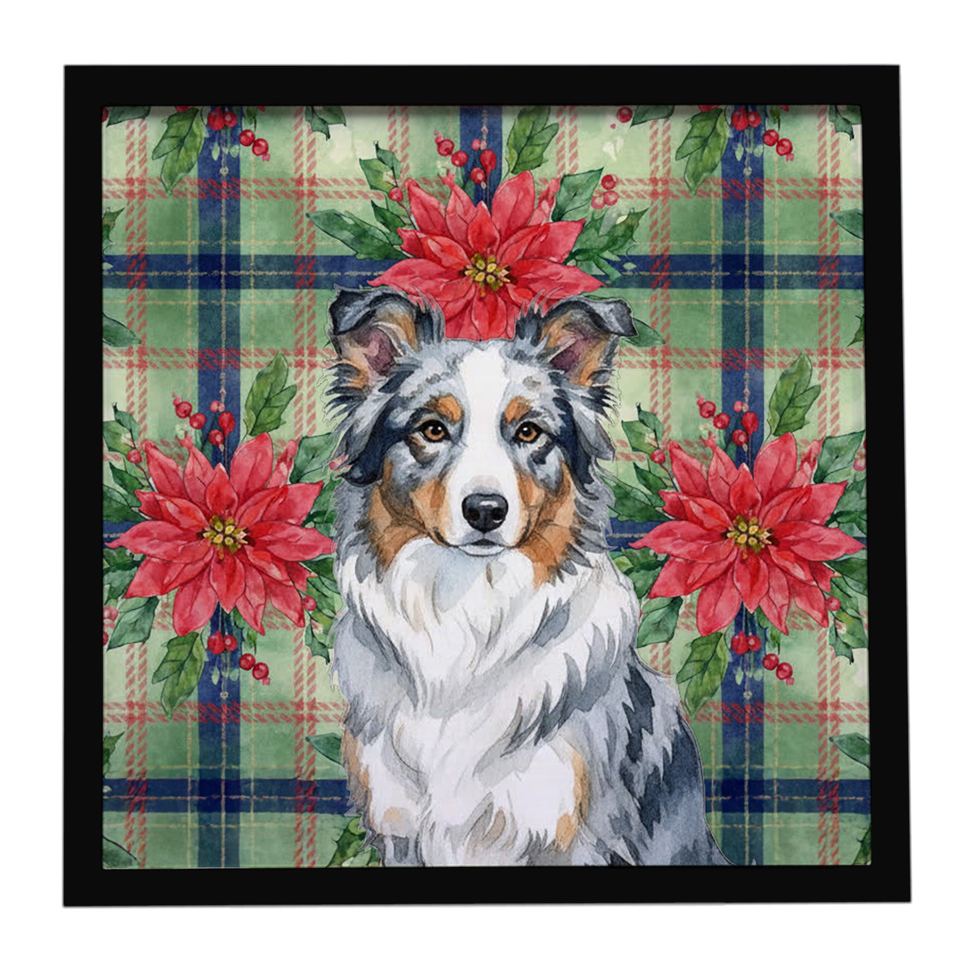 Buy this Blue Merle Border Collie Christmas PoinsettIas Framed Metal Print