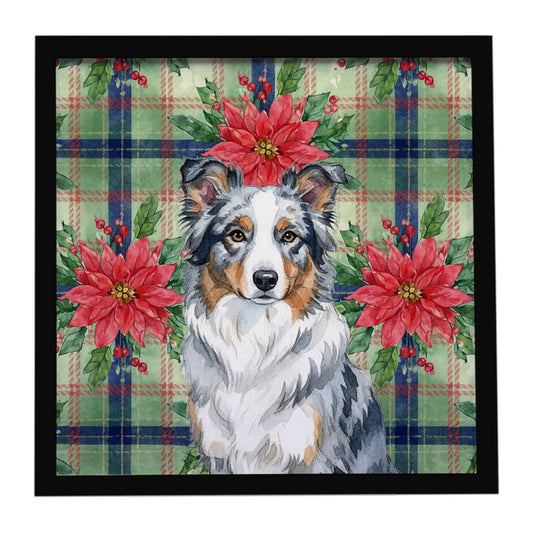 Buy this Blue Merle Border Collie Christmas PoinsettIas Framed Metal Print