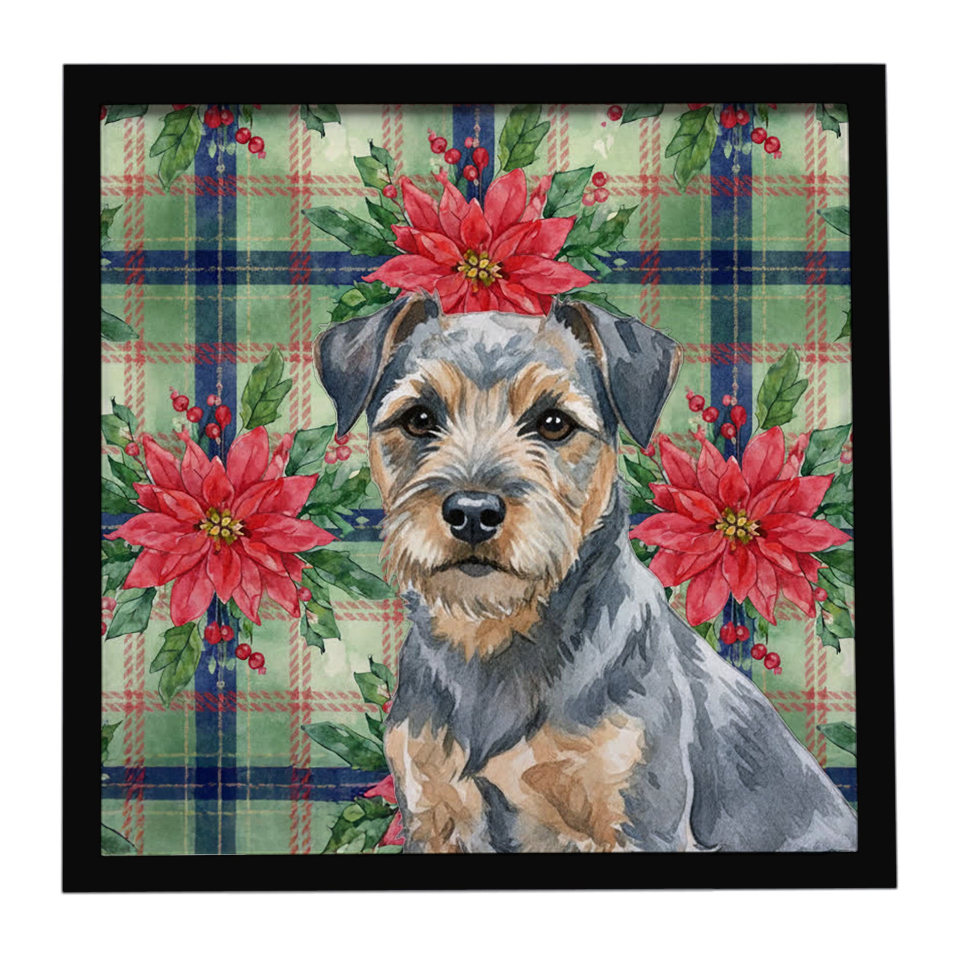 Buy this Blue and Tan Border Terrier Christmas PoinsettIas Framed Metal Print