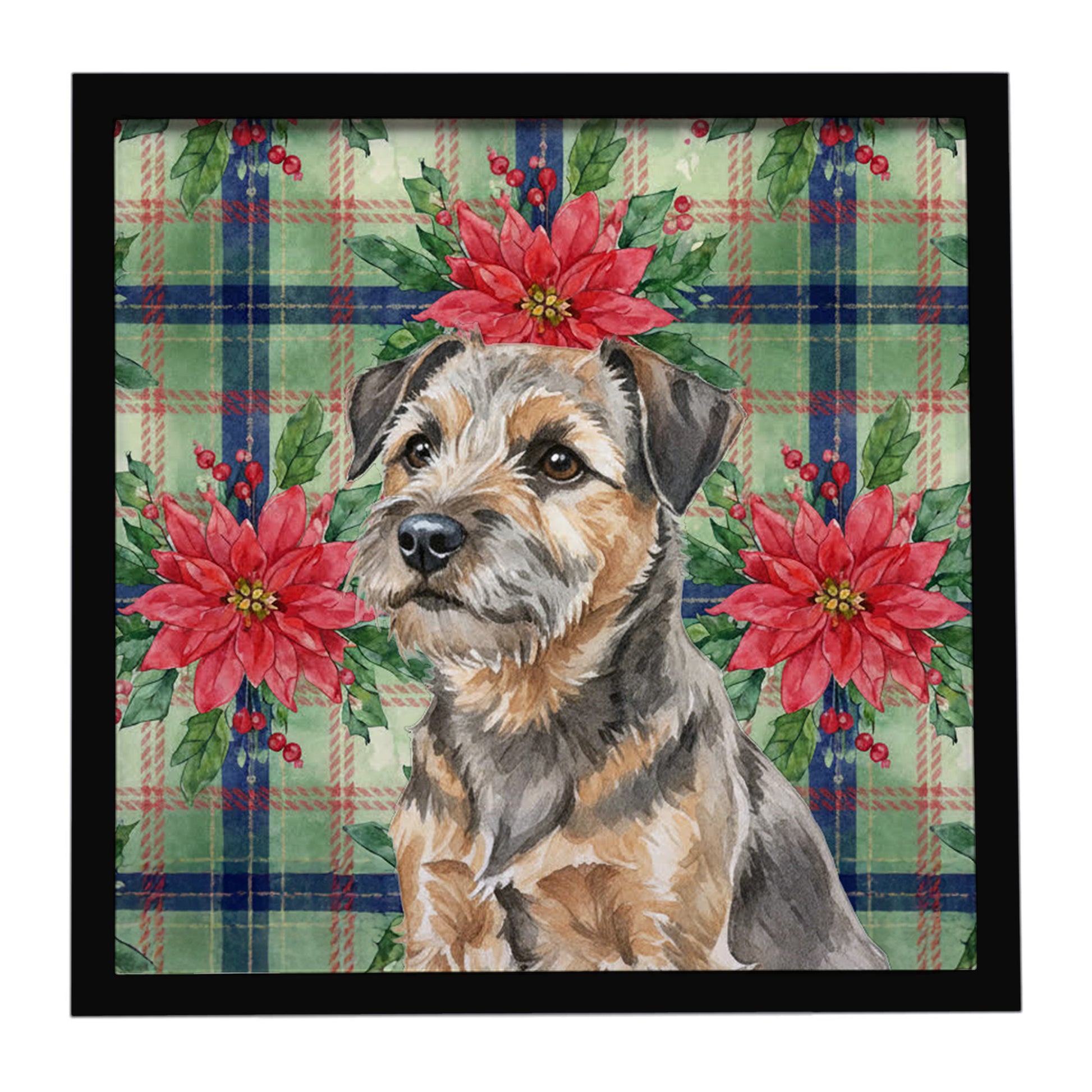 Buy this Grizzle and Tan Border Terrier Christmas PoinsettIas Framed Metal Print