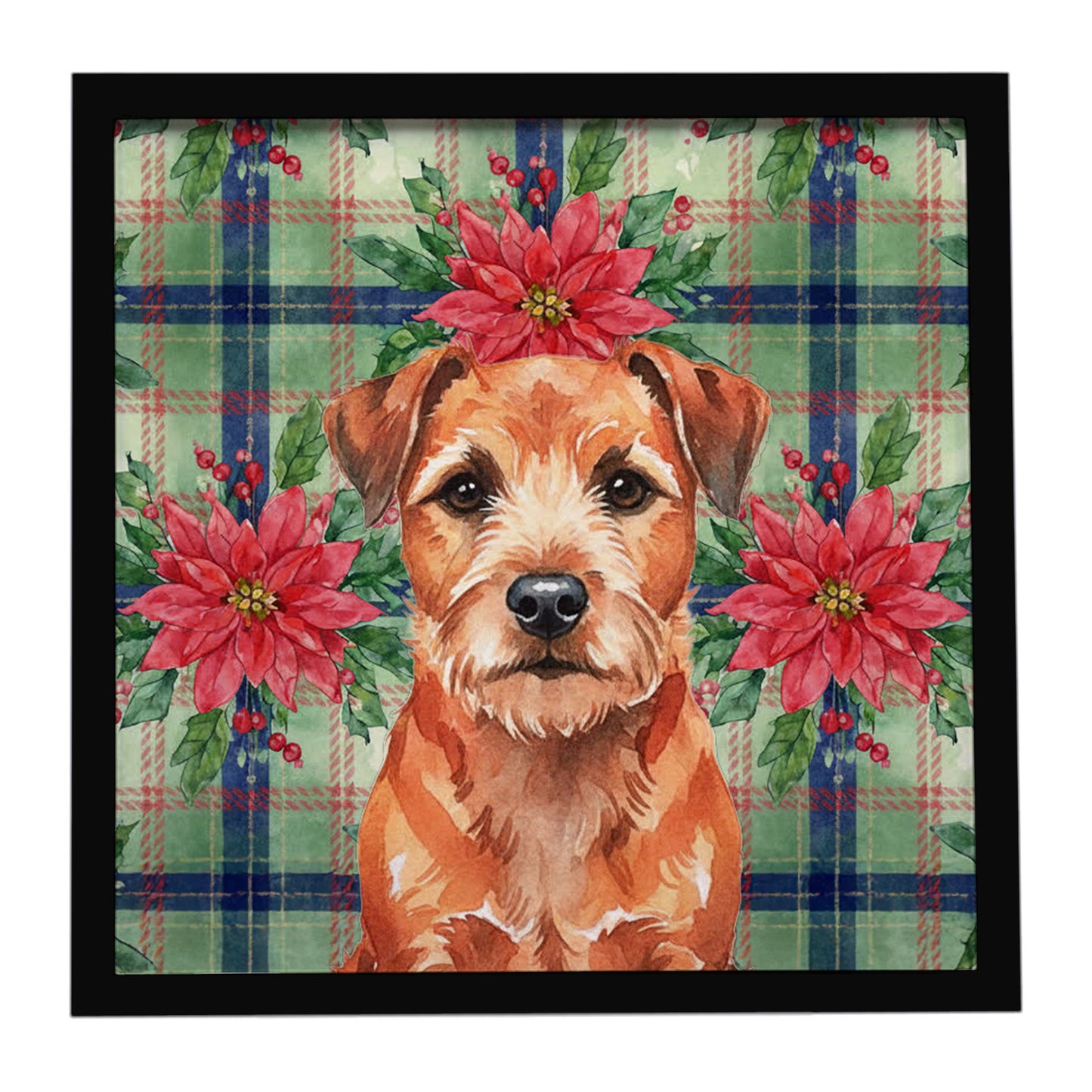 Buy this Red Border Terrier Christmas PoinsettIas Framed Metal Print