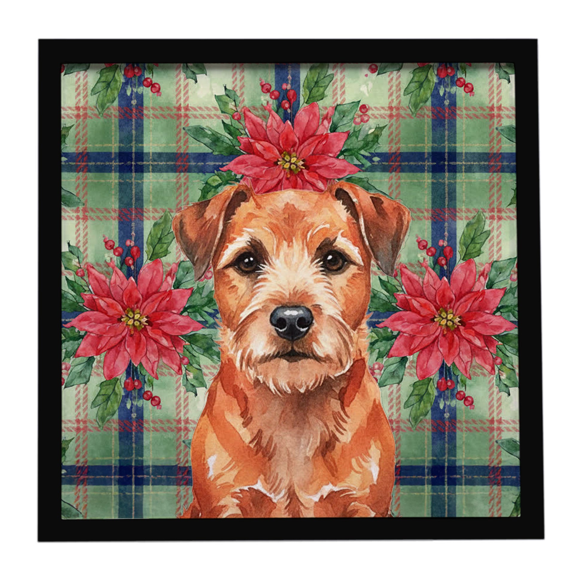 Buy this Red Border Terrier Christmas PoinsettIas Framed Metal Print