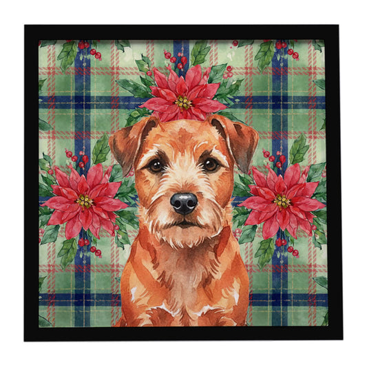 Buy this Red Border Terrier Christmas PoinsettIas Framed Metal Print