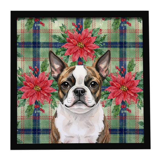 Buy this Brindle Boston Terrier Christmas PoinsettIas Framed Metal Print