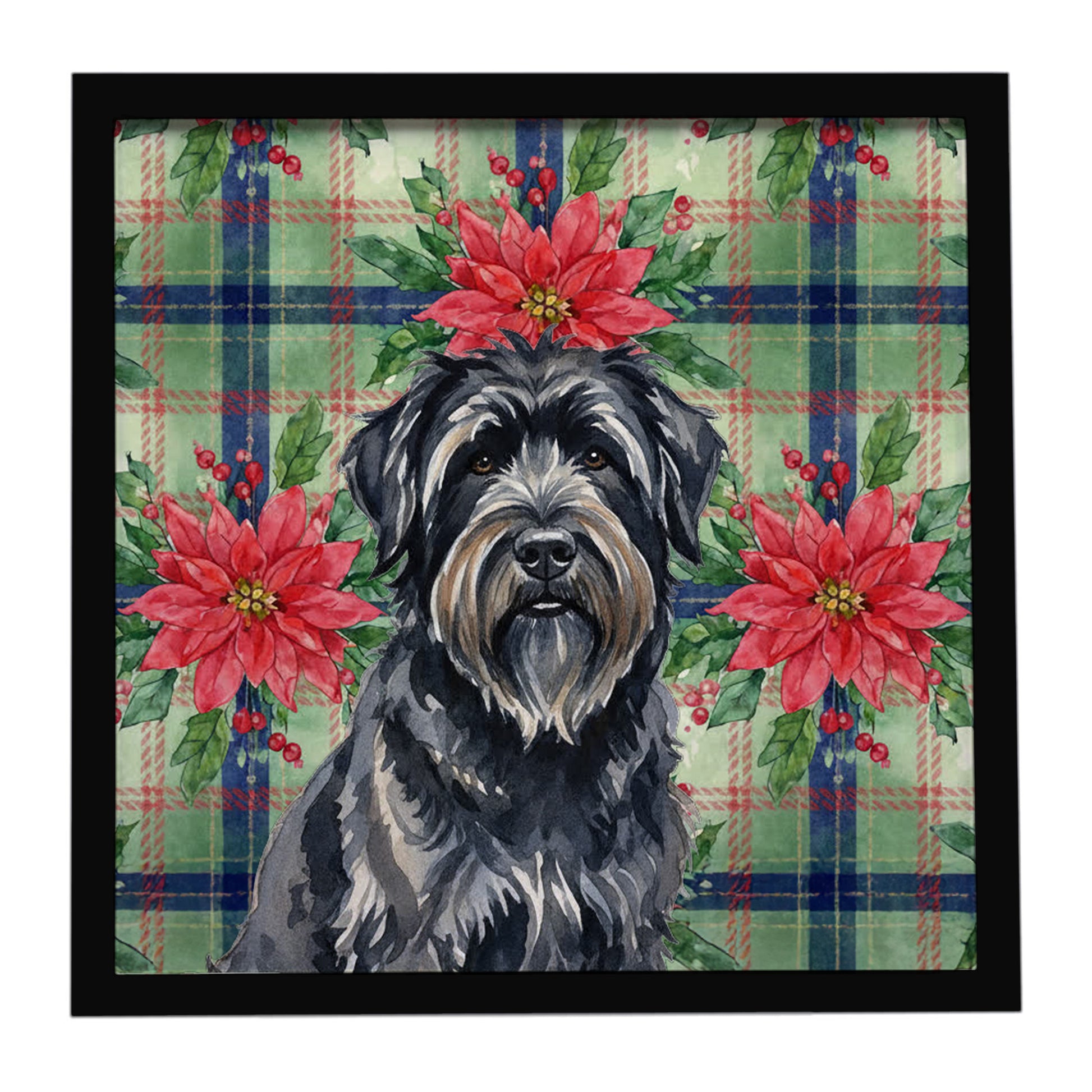 Buy this Bouvier des Flandres Christmas PoinsettIas Framed Metal Print
