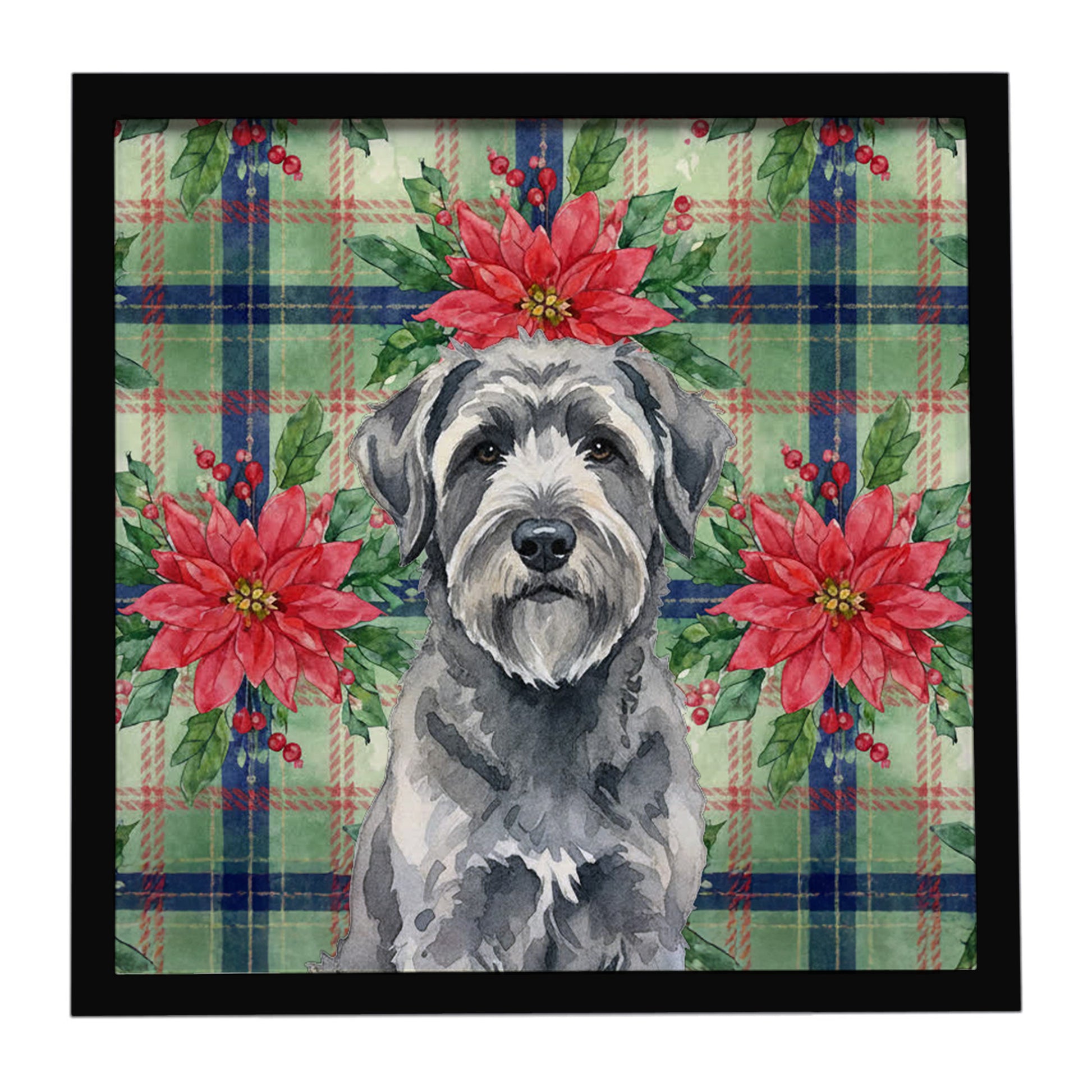 Buy this Gray Bouvier des Flandres Christmas PoinsettIas Framed Metal Print