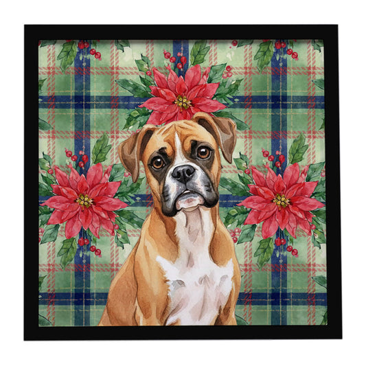Buy this Boxer Christmas PoinsettIas Framed Metal Print