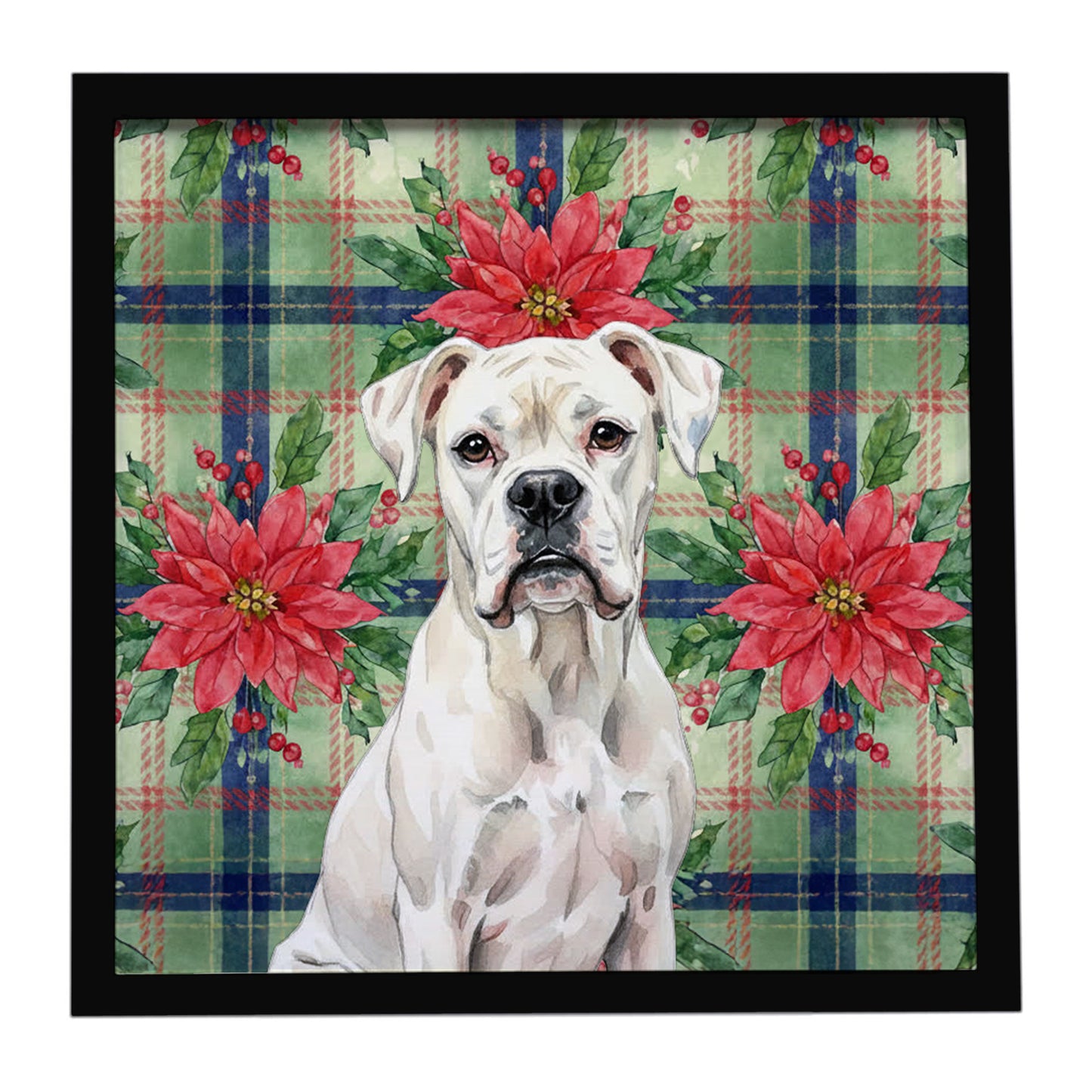Buy this White Boxer Christmas PoinsettIas Framed Metal Print