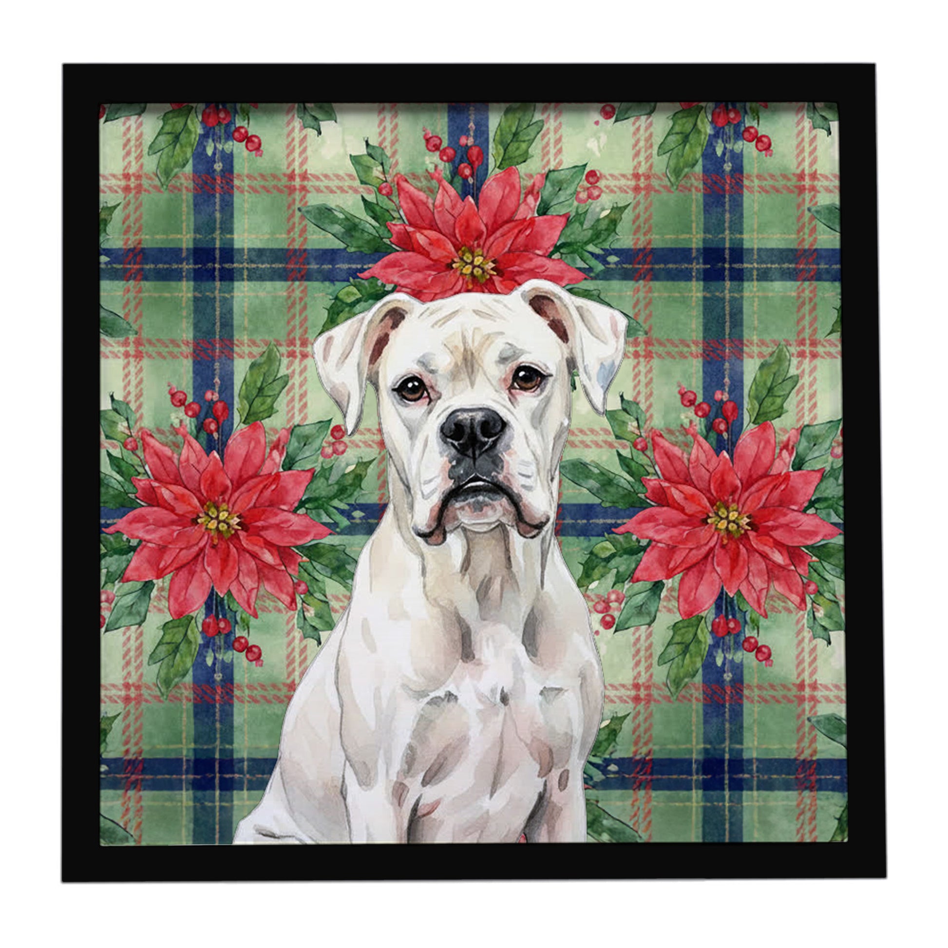Buy this White Boxer Christmas PoinsettIas Framed Metal Print