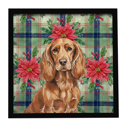 Buy this Boykin Spaniel Christmas PoinsettIas Framed Metal Print