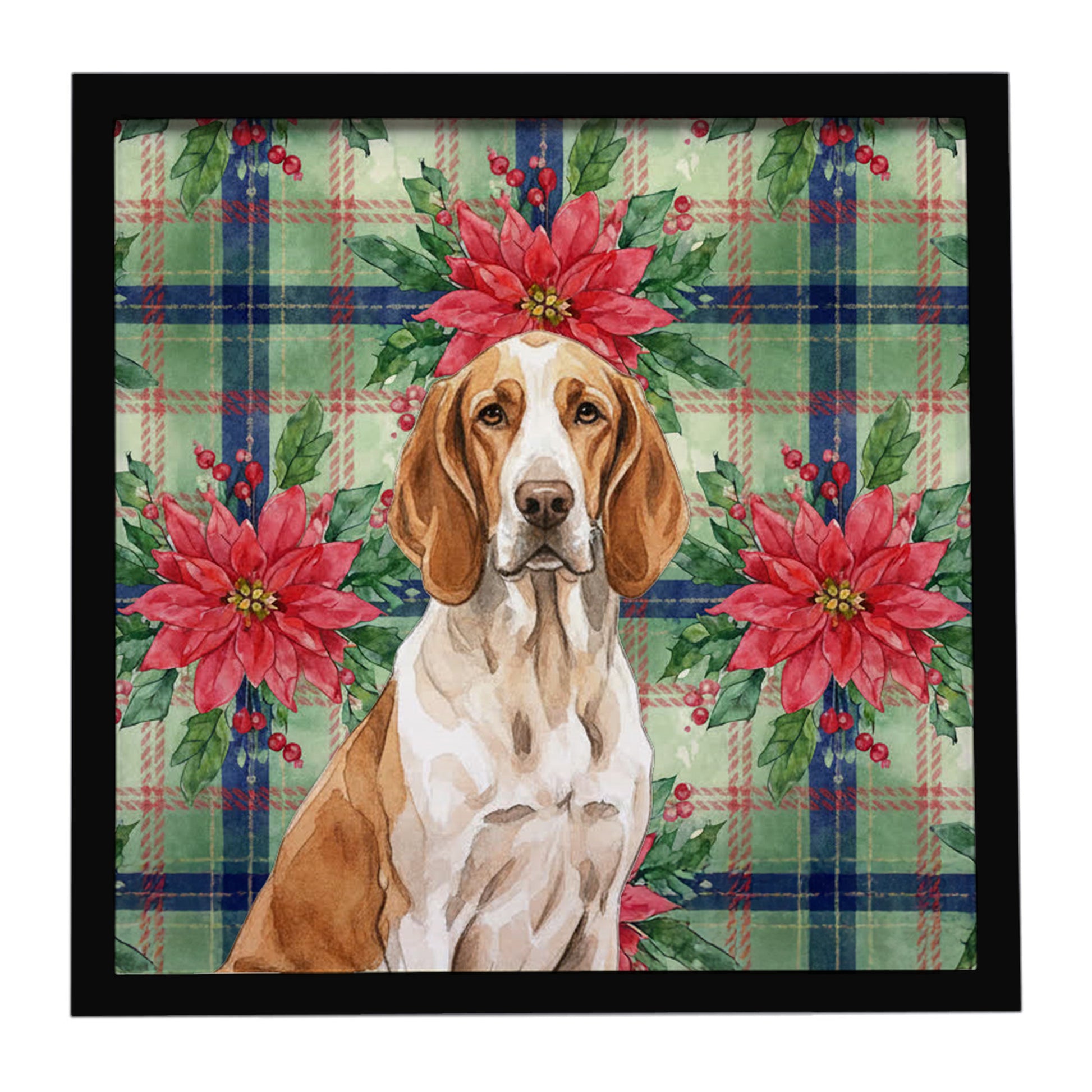 Buy this Bracco Italiano Christmas PoinsettIas Framed Metal Print