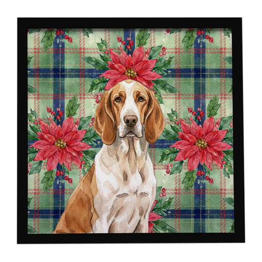 Buy this Bracco Italiano Christmas PoinsettIas Framed Metal Print