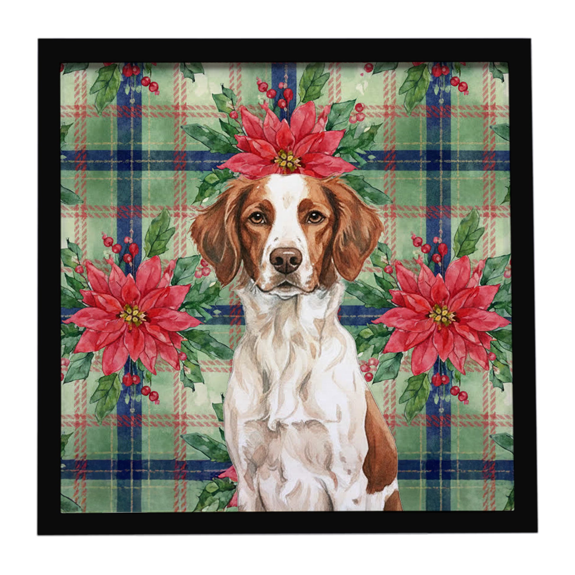 Buy this Liver and White Brittany Christmas PoinsettIas Framed Metal Print