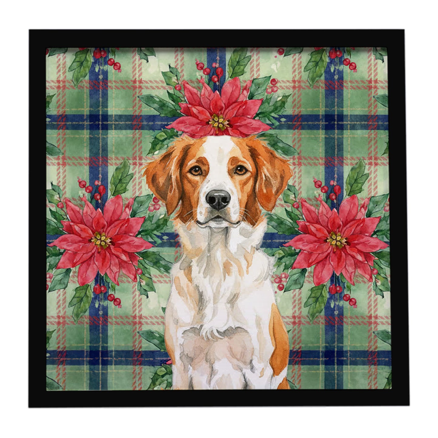 Buy this Orange and White Brittany Christmas PoinsettIas Framed Metal Print