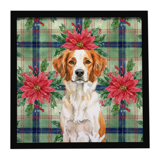 Buy this Orange and White Brittany Christmas PoinsettIas Framed Metal Print