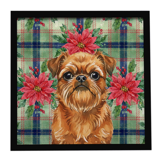 Buy this Belge Brussels Griffon Christmas PoinsettIas Framed Metal Print