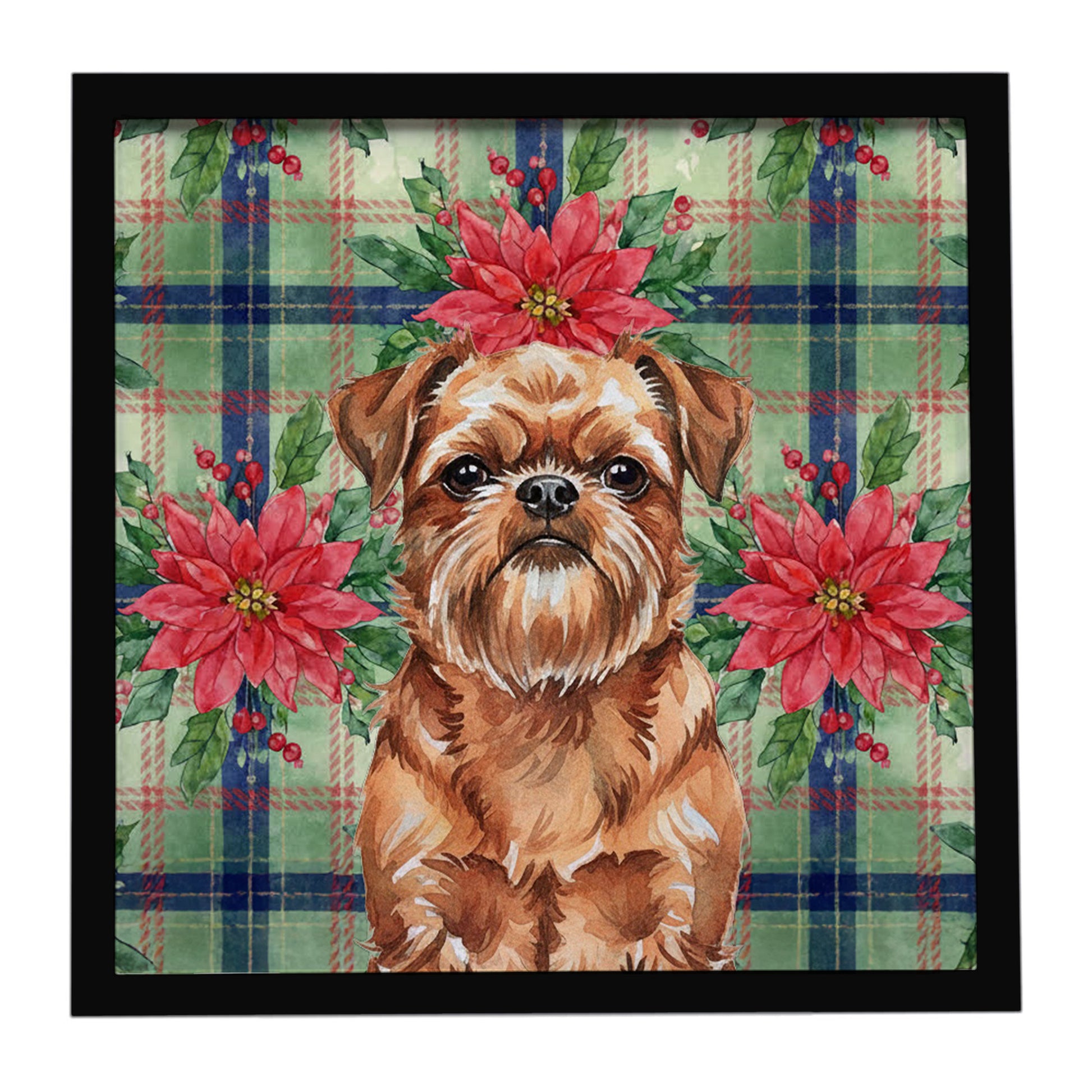 Buy this Red Brussels Griffon Christmas PoinsettIas Framed Metal Print