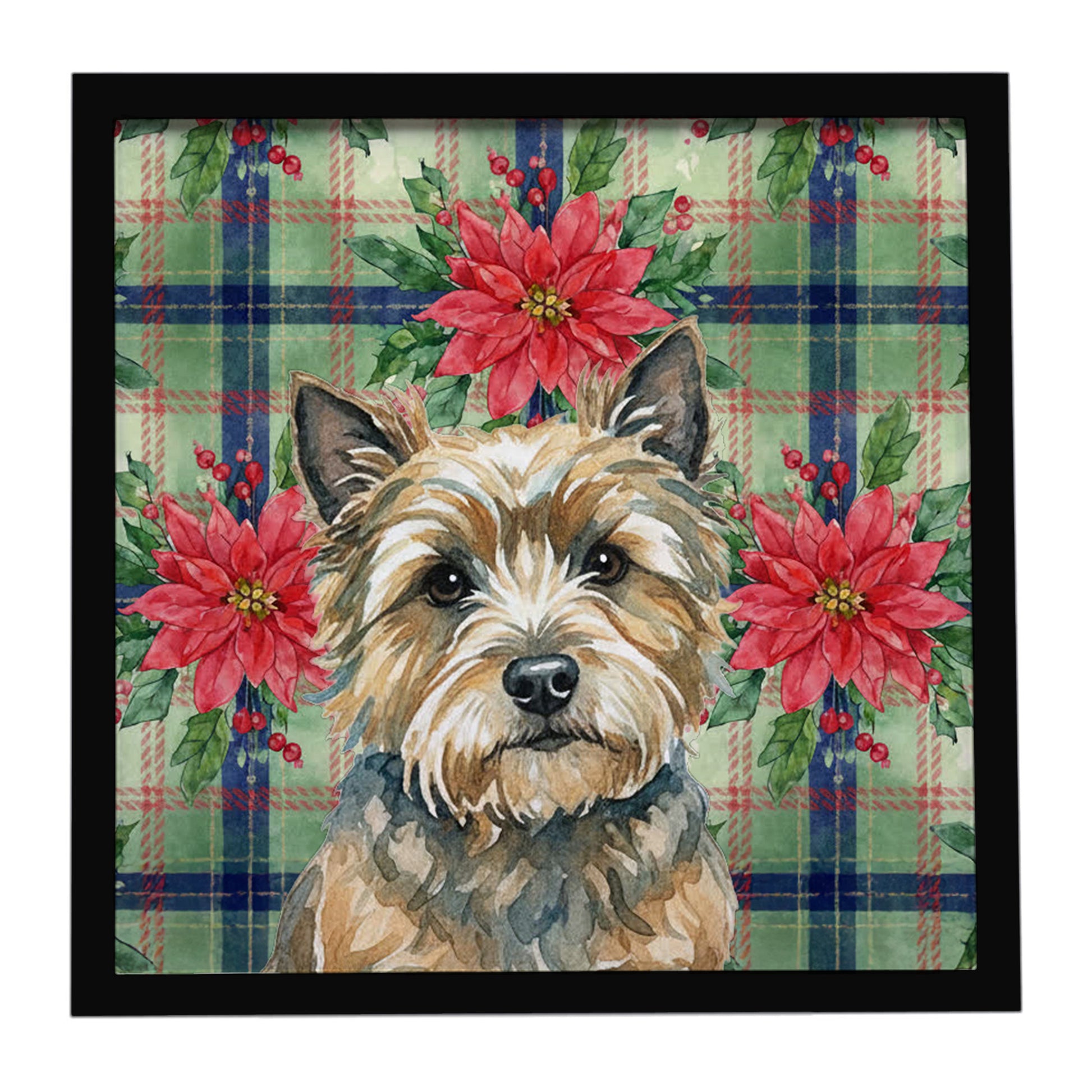 Buy this Cairn Terrier Christmas PoinsettIas Framed Metal Print