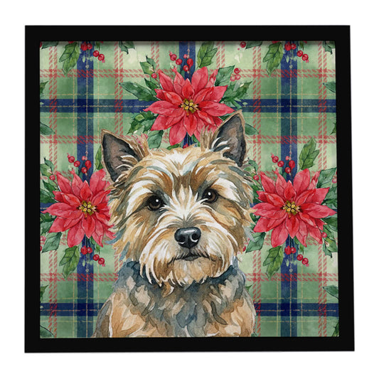 Buy this Cairn Terrier Christmas PoinsettIas Framed Metal Print