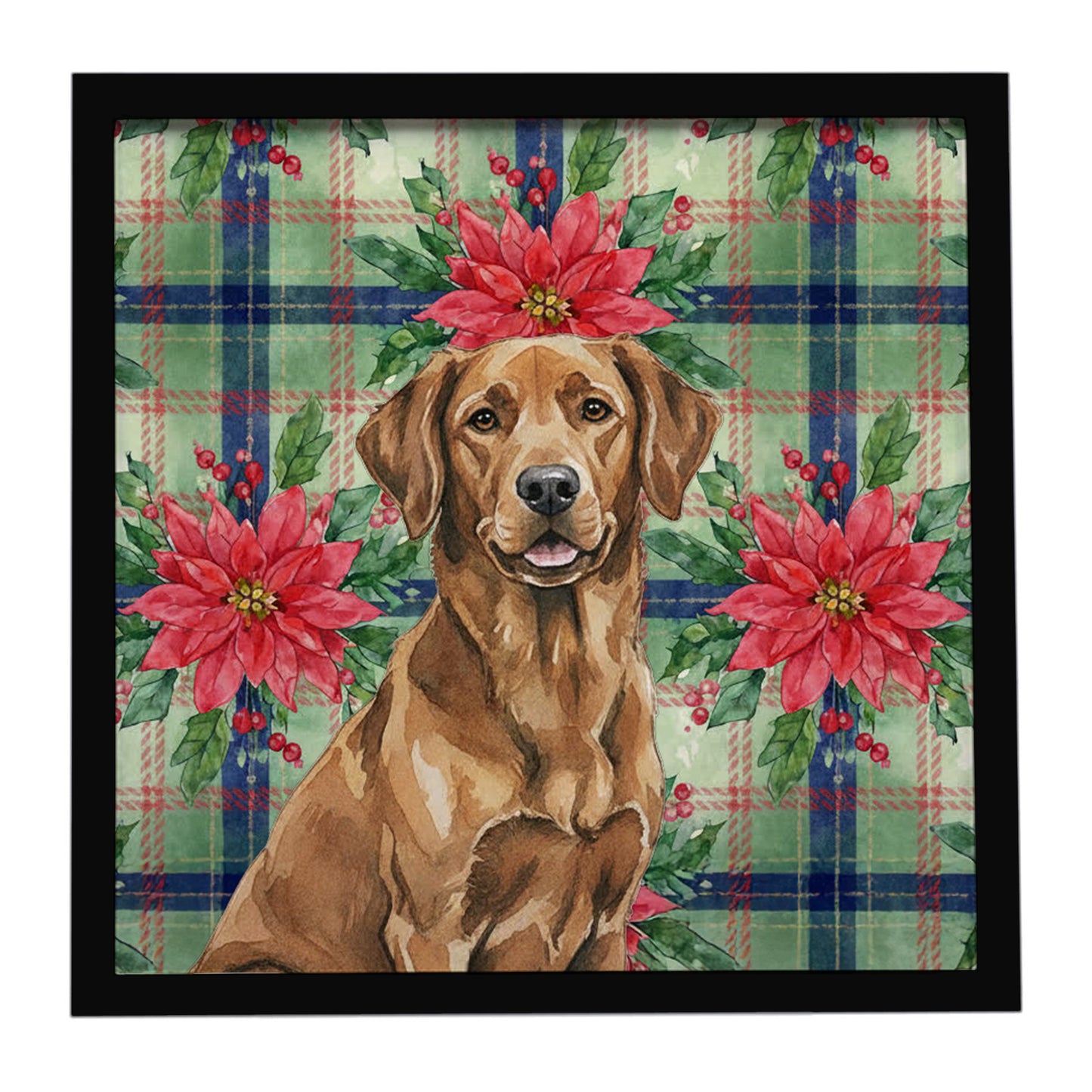 Buy this Chesapeake Bay Retriever Christmas PoinsettIas Framed Metal Print