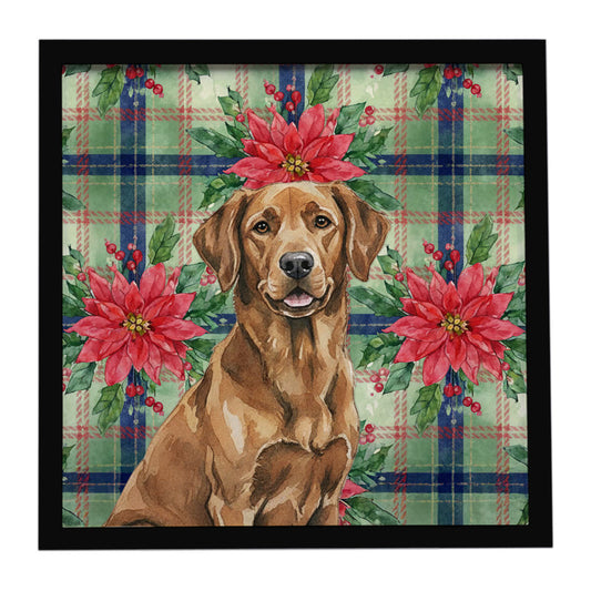 Buy this Chesapeake Bay Retriever Christmas PoinsettIas Framed Metal Print