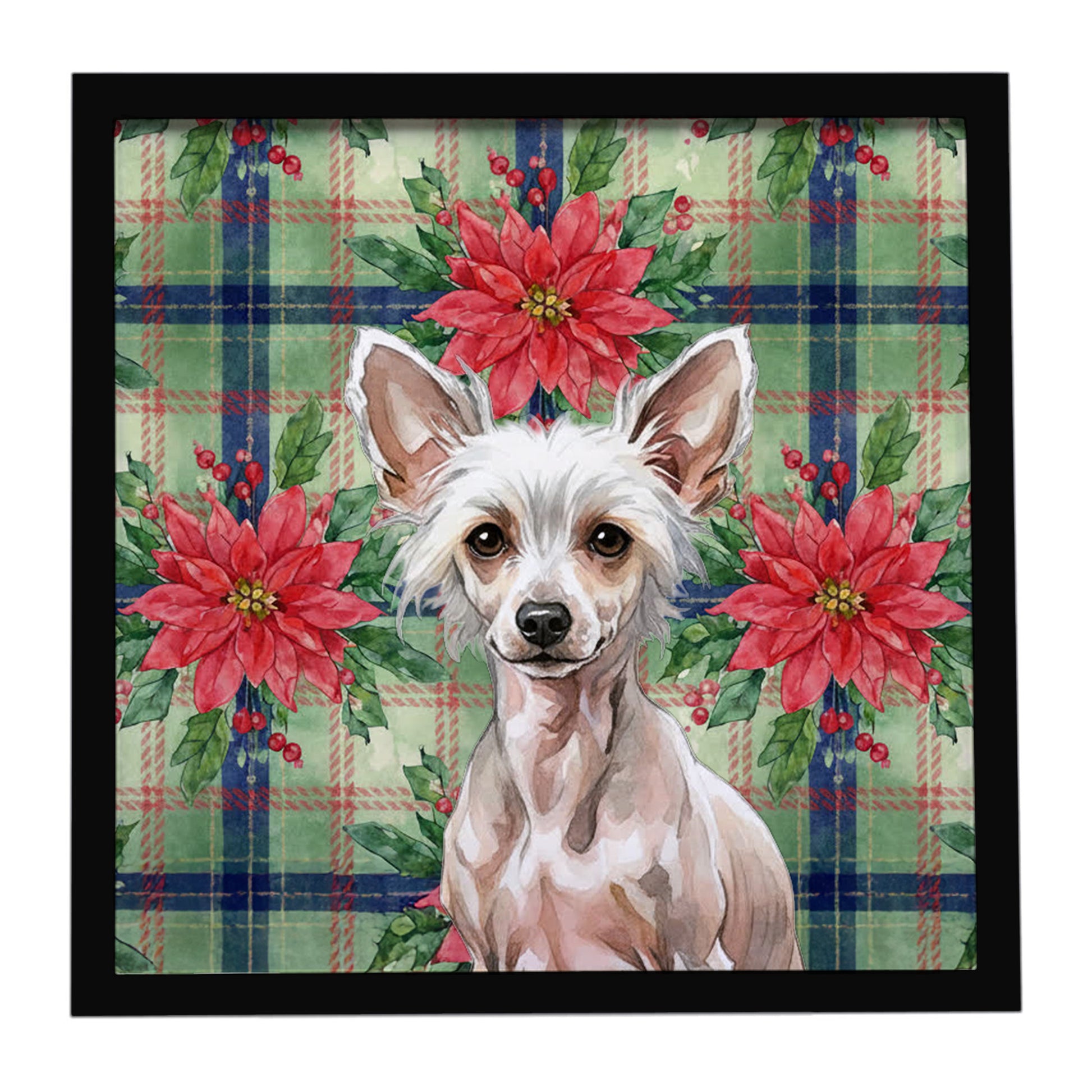 Buy this Hairless Chinese Crested Christmas PoinsettIas Framed Metal Print